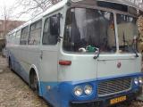 N milovan Paezbus