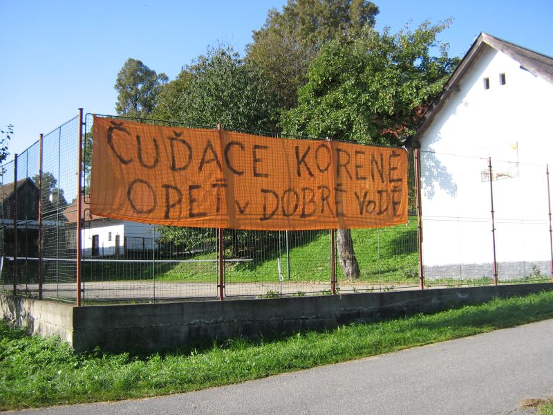 Doutnající Pařezy